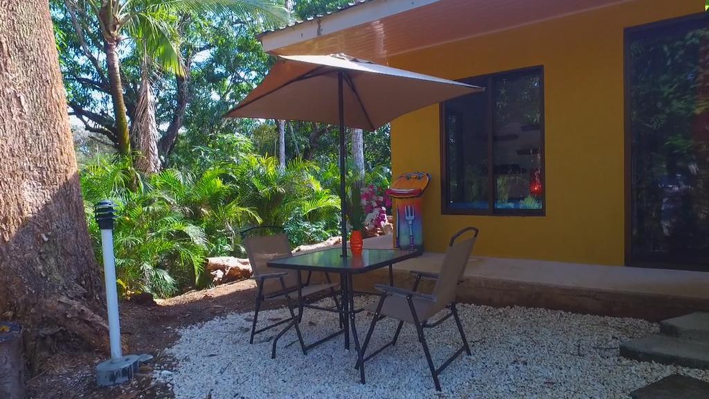 Blanconejo De Montezuma Villa Ngoại thất bức ảnh