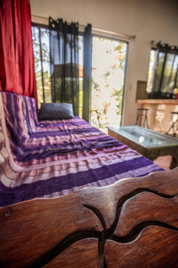 Blanconejo De Montezuma Villa Ngoại thất bức ảnh