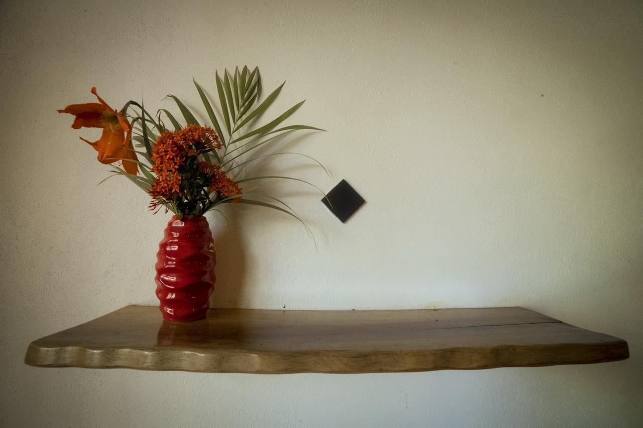 Blanconejo De Montezuma Villa Ngoại thất bức ảnh