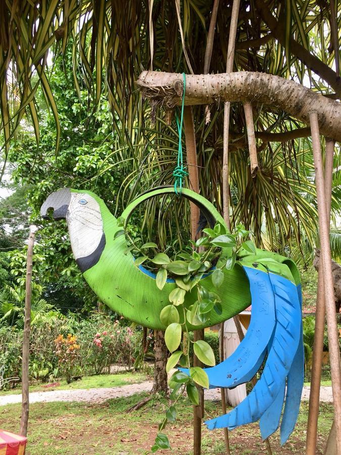 Blanconejo De Montezuma Villa Ngoại thất bức ảnh