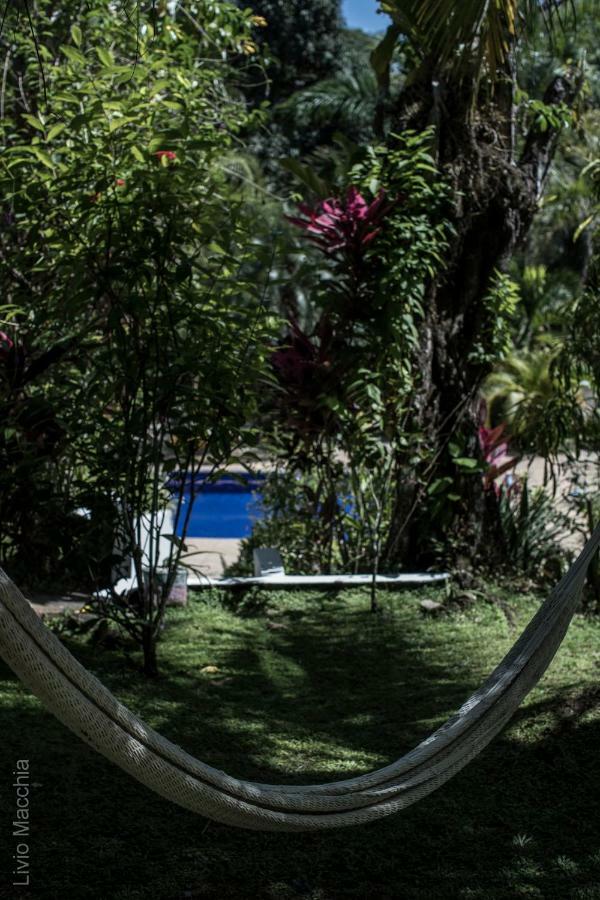 Blanconejo De Montezuma Villa Ngoại thất bức ảnh