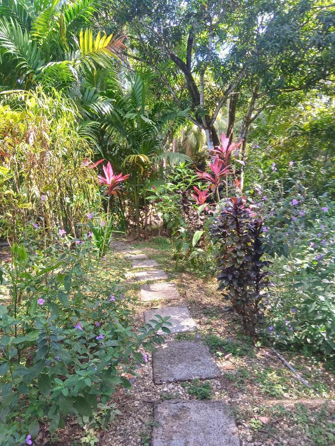 Blanconejo De Montezuma Villa Ngoại thất bức ảnh