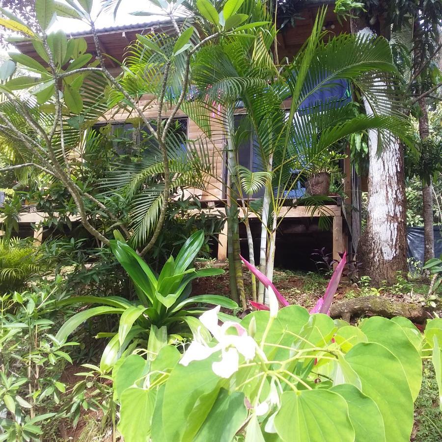 Blanconejo De Montezuma Villa Ngoại thất bức ảnh